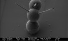 Cel mai mic om de zăpadă, de 25 de ori mai mic ca un fir de păr