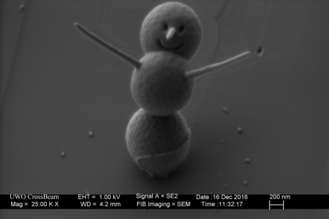 Cel mai mic om de zăpadă, de 25 de ori mai mic ca un fir de păr